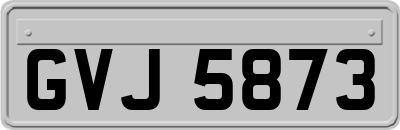 GVJ5873