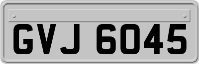 GVJ6045