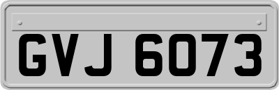 GVJ6073