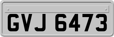 GVJ6473