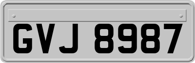 GVJ8987