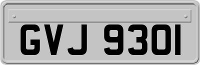 GVJ9301