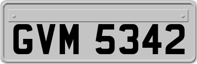 GVM5342