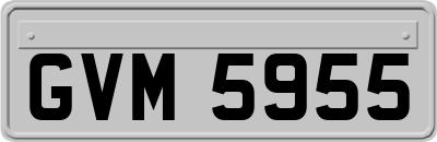GVM5955