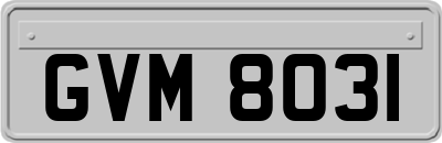 GVM8031