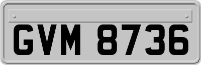 GVM8736