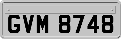 GVM8748