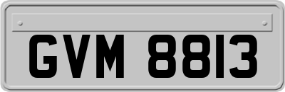 GVM8813