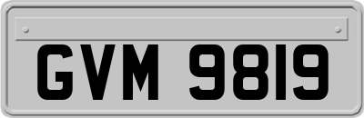 GVM9819