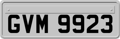 GVM9923