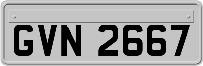GVN2667