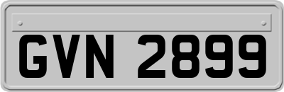 GVN2899