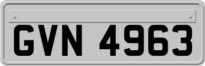 GVN4963
