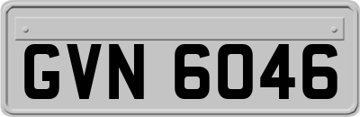 GVN6046
