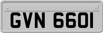 GVN6601
