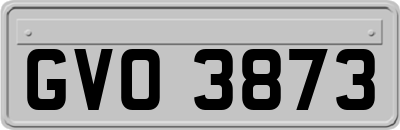 GVO3873