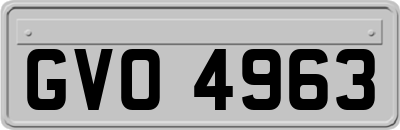 GVO4963
