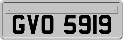 GVO5919