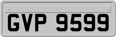 GVP9599