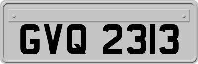 GVQ2313