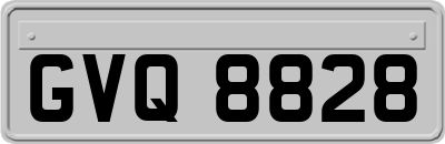 GVQ8828