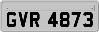 GVR4873