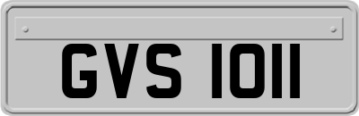 GVS1011