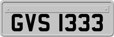 GVS1333