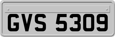 GVS5309