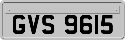 GVS9615