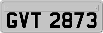 GVT2873