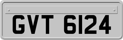 GVT6124