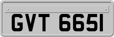 GVT6651