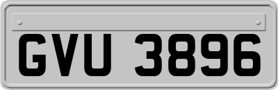 GVU3896