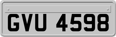 GVU4598