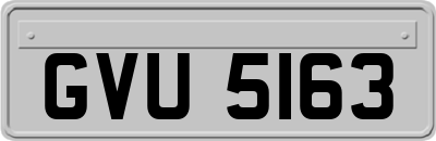 GVU5163