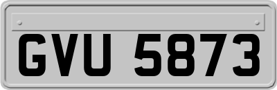 GVU5873