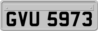 GVU5973