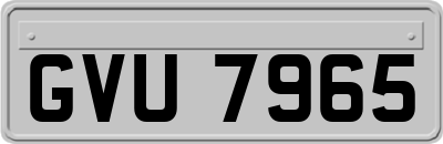 GVU7965