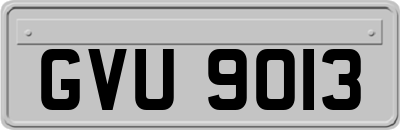 GVU9013
