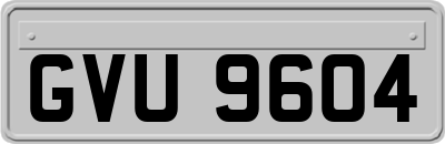 GVU9604