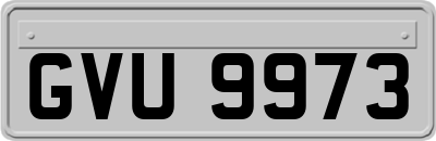 GVU9973