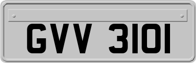 GVV3101