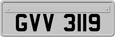 GVV3119