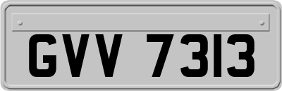 GVV7313