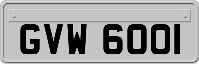 GVW6001