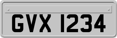 GVX1234