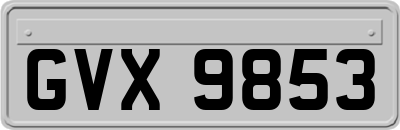 GVX9853