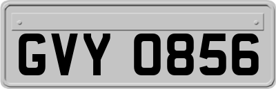 GVY0856