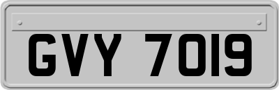 GVY7019